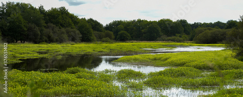 pond in sologne