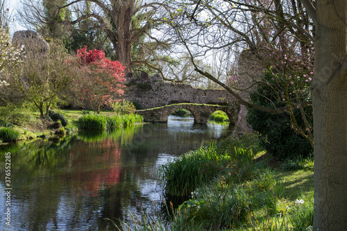 Wallpaper Mural Nature landscape with colorful trees Torontodigital.ca