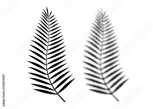 Palm leaf vector icon. Tropical dotwork leaf. Beach palm tree graphic symbol. Summer plant icon. Coconut tree leaf icon. Isolated vacation floral symbol. Exotic tropical element. Dotwork vector