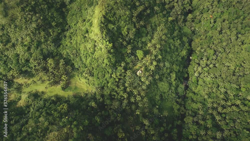 Top down Philippines hill aerial view: tropic forest on mounts, coconut palm trees, high grass at rural Legazpi. Hilly Filipino greenery landscape of Asian wild nature. Cinematic drone shot Top down Philippines hill aerial view: tropic forest on mounts, coconut palm trees, high grass at rural Legazpi. Hilly Filipino greenery landscape of Asian wild nature. Cinematic drone shot
