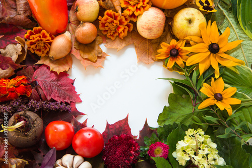 Thanksgiving day concept colorful autumn red yellow maple leaves fruit vegetables on white background, top view, copy text