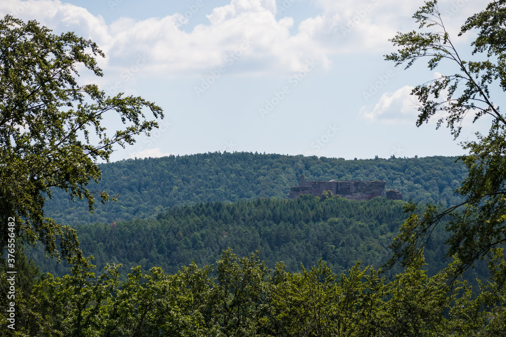 beatiful landscape of the pfälzer wald wood hills, rheinland-pfalz, germany