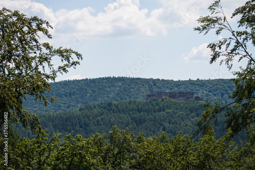 beatiful landscape of the pf  lzer wald wood hills  rheinland-pfalz  germany