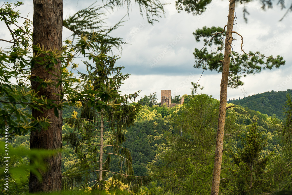 Fototapeta premium beautiful landscape in the Southwest Palatinate (südwestpfalz) near fischbach
