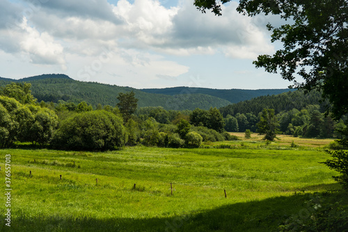 beautiful landscape in the Southwest Palatinate (südwestpfalz) near fischbach