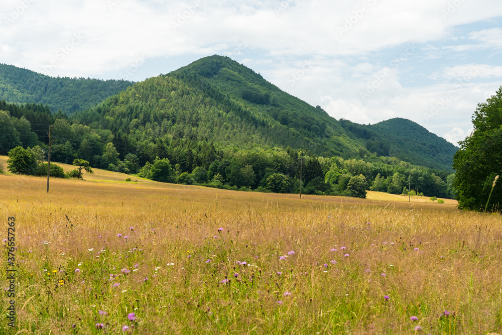 beautiful landscape in the Southwest Palatinate (südwestpfalz) near fischbach