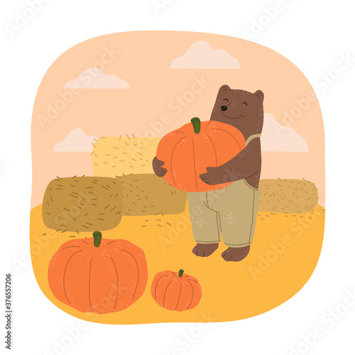 Brown teddy bear farmer holding ripe pumpkin during harvesting