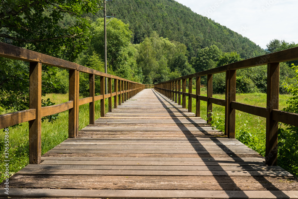 wooden bridge in the Southwest Palatinate forest, wasgausee, schönau fischbach, germany