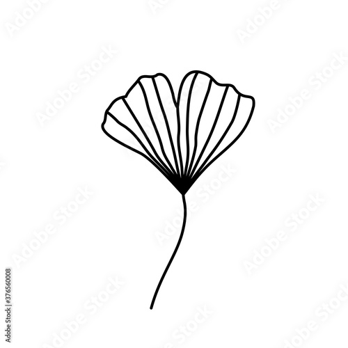 Vector botanical illustration with Ginkgo biloba hand drawn leaf isolated on white background. Emblem, icon, badge or logo element