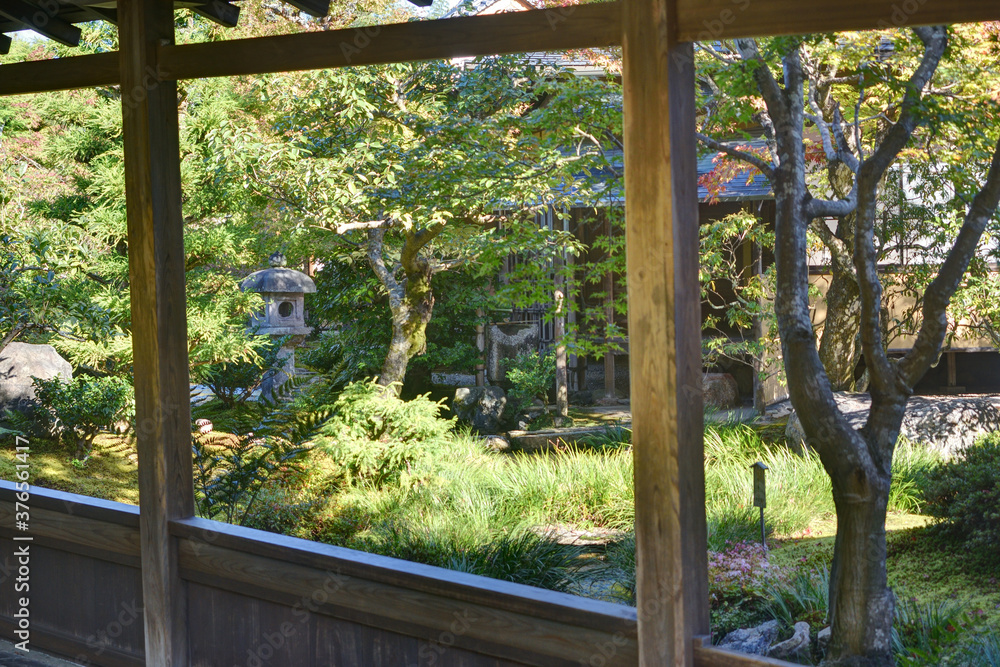 天龍寺 天龍寺