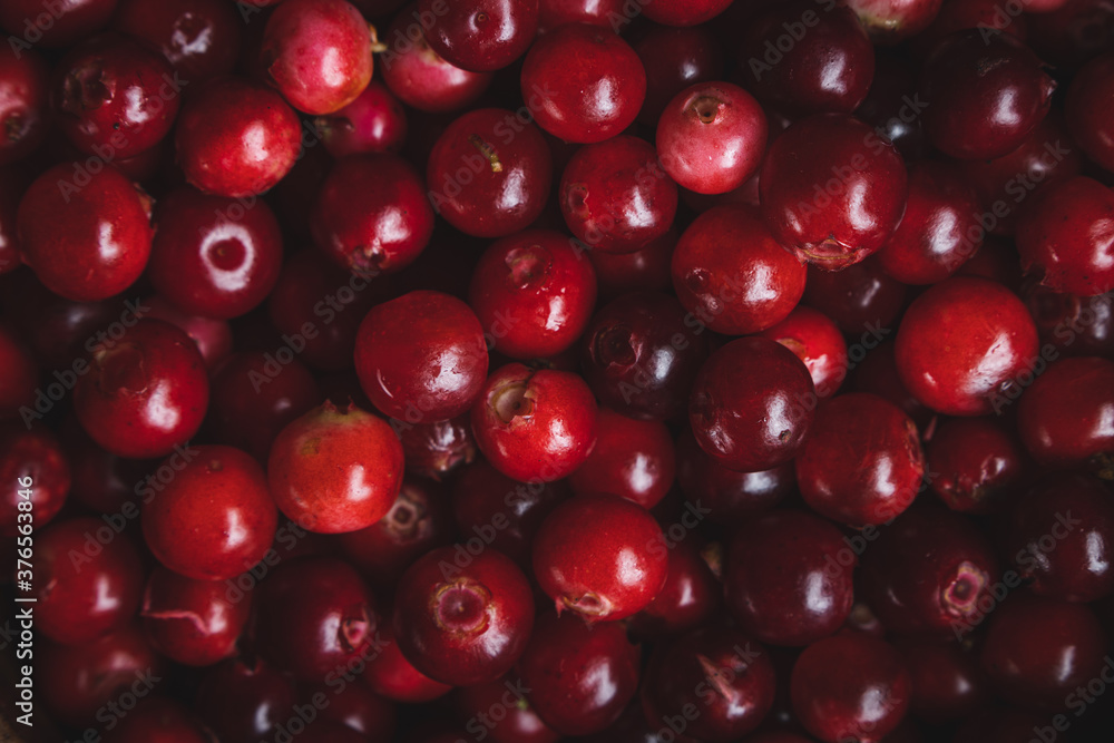 Lingonberry on a table with pine branches top view Lingonberry on a table with pine branches top view