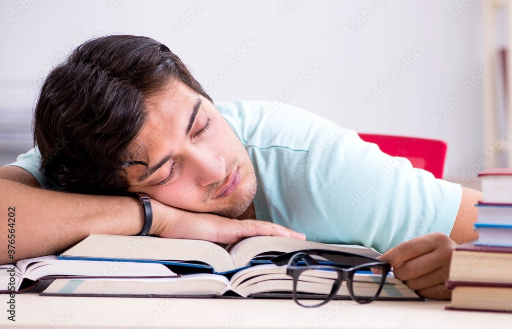 Young handsome student preparing for school exams Young handsome student preparing for school exams