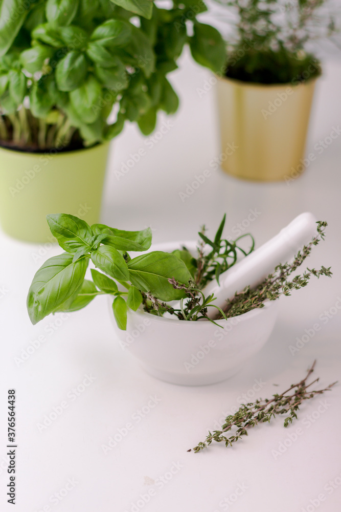 Green basil, thyme, oregano in white ceramic mortar and pestle om white table. Alternative herbal medicine concept. Above view. Selective focus. Green basil, thyme, oregano in white ceramic mortar and pestle om white table. Alternative herbal medicine concept. Above view. Selective focus.