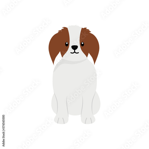 cartoon papillon dog icon, flat style