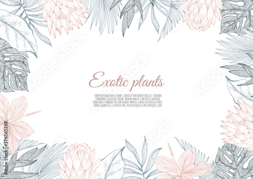 A border frame design decorated with floral tropical palm leaves and flowers