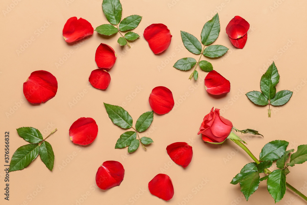 Composition with beautiful rose petals on color background Composition with beautiful rose petals on color background
