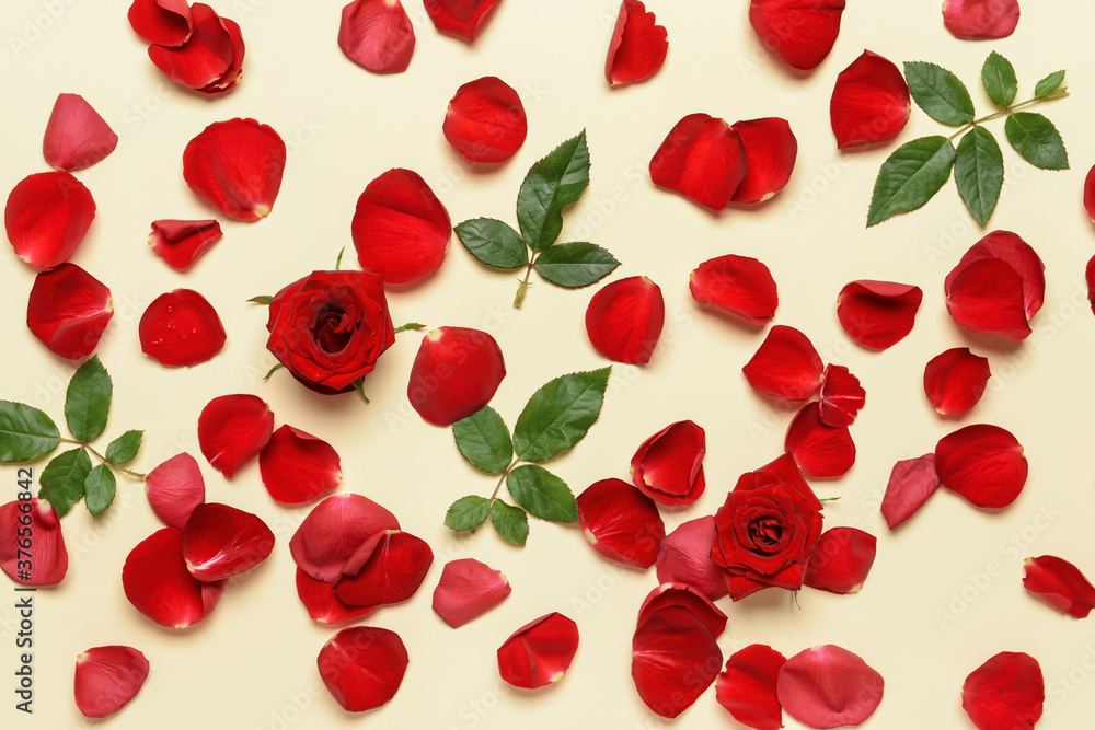 Beautiful roses and petals on color background