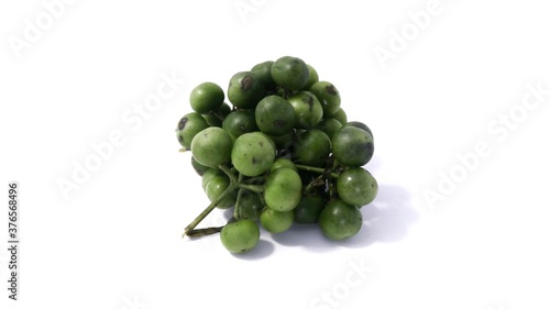 green solanum ningrum on white background