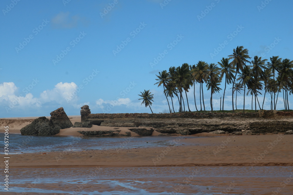 Praia e Coqueiros
