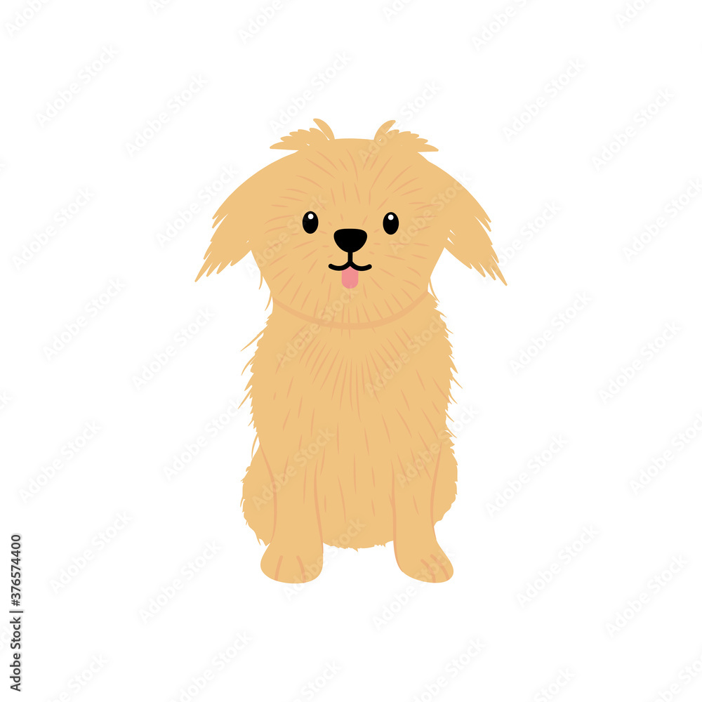 silky terrier dog icon, flat style silky terrier dog icon, flat style