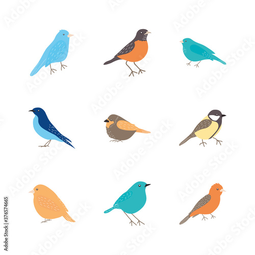 blue birds and birds icon set, flat style