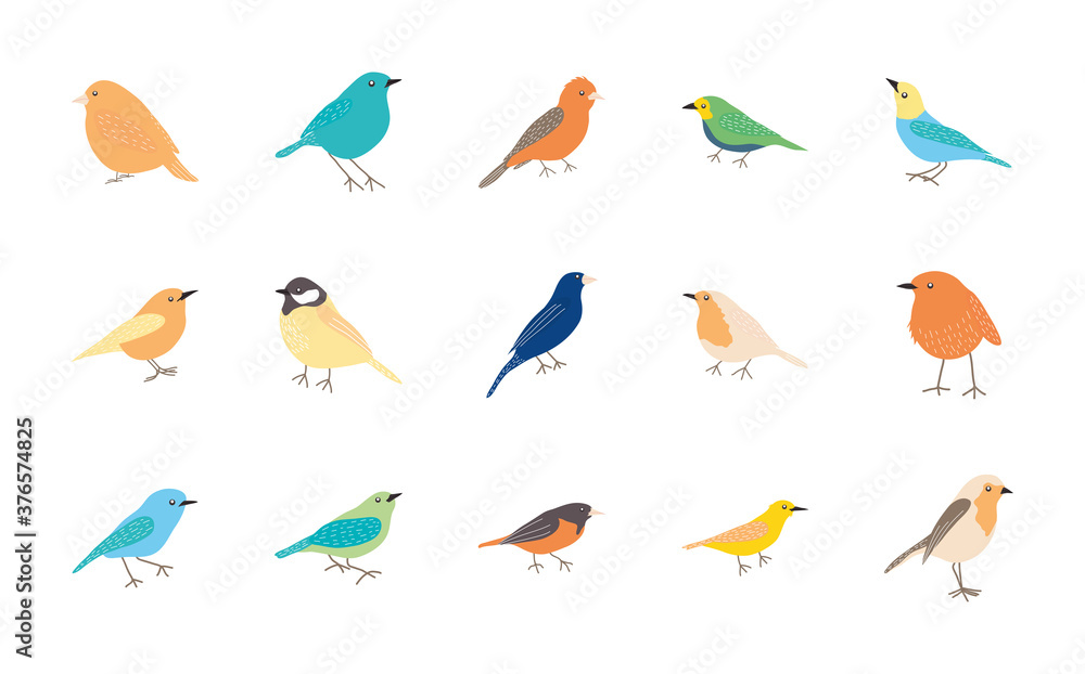 orange birds and birds icon set, flat style orange birds and birds icon set, flat style