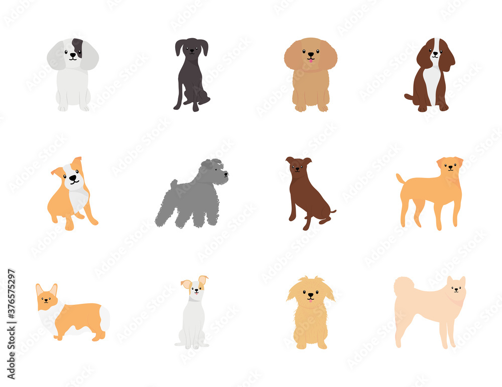 icon set of bulldog and dogs, flat style icon set of bulldog and dogs, flat style