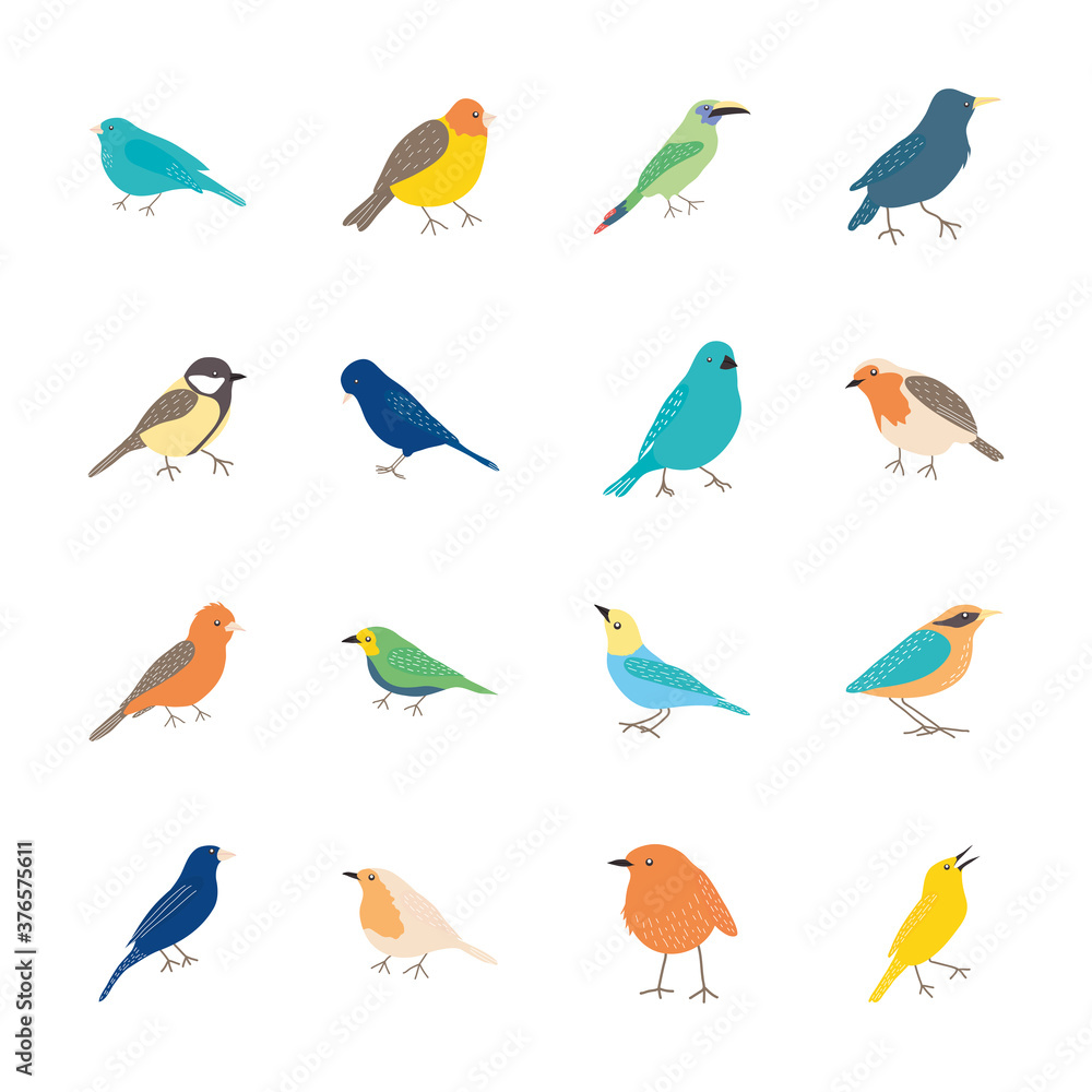 icon set of cartoon birds, flat style icon set of cartoon birds, flat style