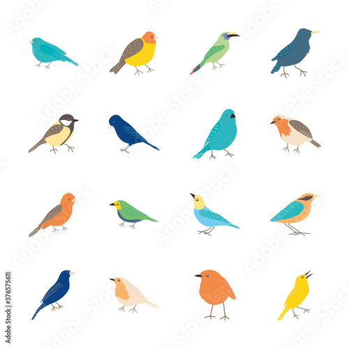 icon set of cartoon birds, flat style