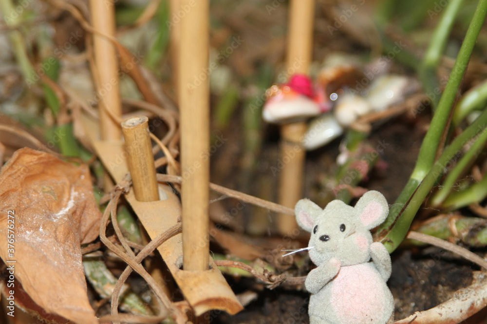 Toy mouse on a plant with spokes and toy turtle in the backround Toy mouse on a plant with spokes and toy turtle in the backround