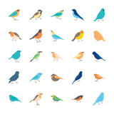 icon set of colorful birds, flat style