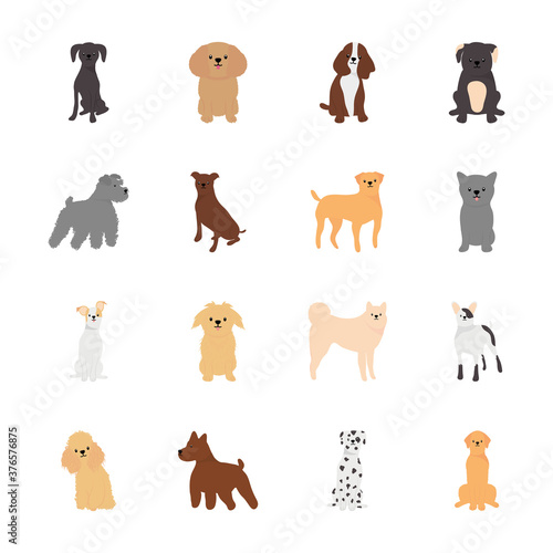 icon set of dalmatian and dogs, flat style