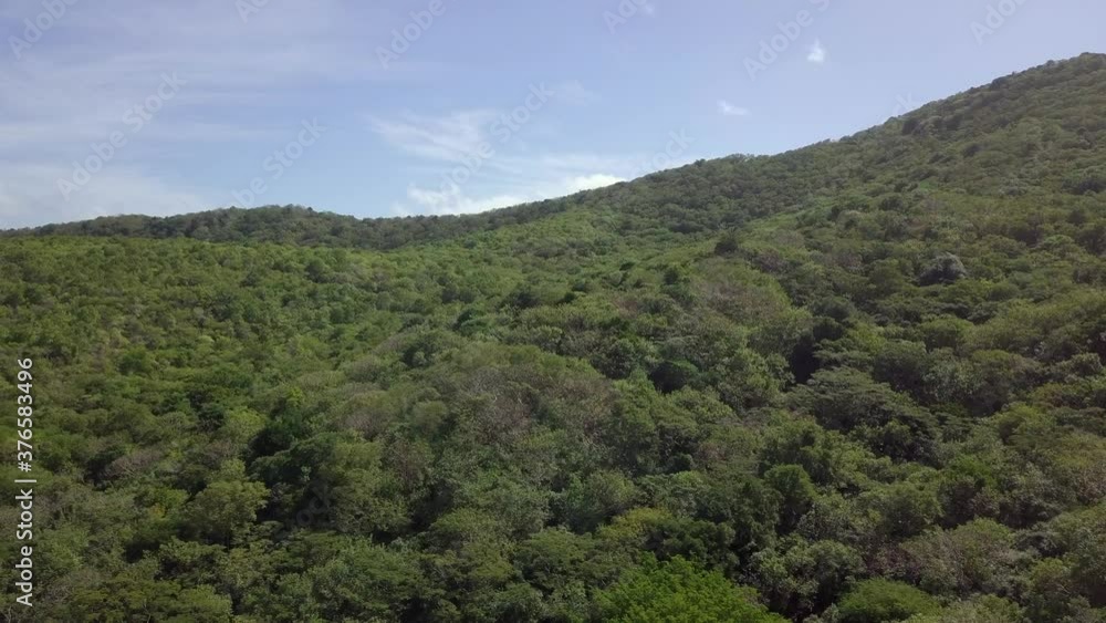 Drone shot of hills and greenery around Anse le Roche Beach, Carriacou, Grenada Drone shot of hills and greenery around Anse le Roche Beach, Carriacou, Grenada