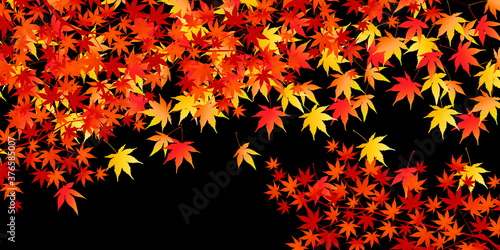 紅葉　もみじ　秋　背景

