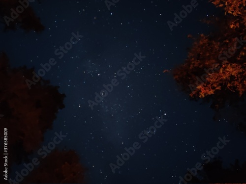 starry night  long exposure shot
