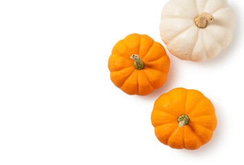 Orange pumpkin and white pumpkin placed on a white background