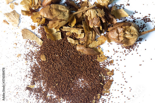  tobacco seeds. Isolated on white background.