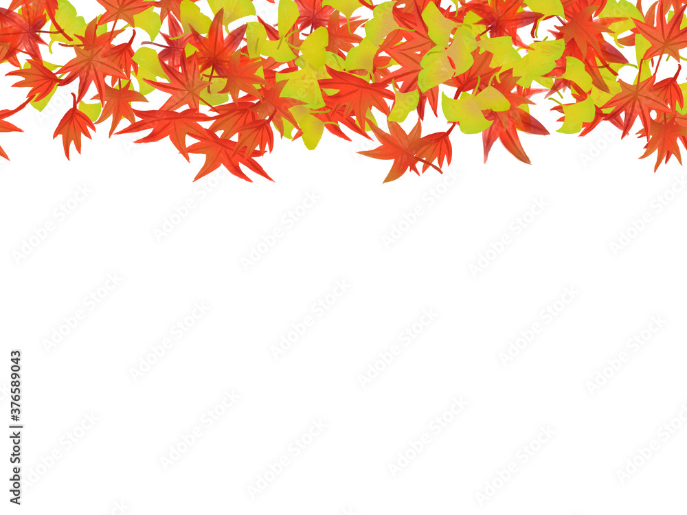 秋をイメージしたモミジとイチョウの背景イラスト