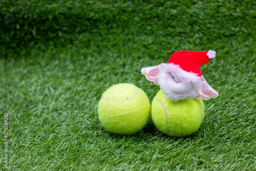 Tennis Christmas Holiday with Santa Claus on green grass