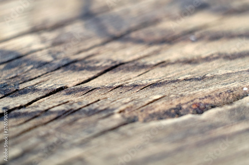 Old cracked wood texture with shallow depth of field