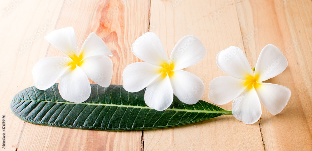 Leelawadee an isolated on wood background Leelawadee an isolated on wood background