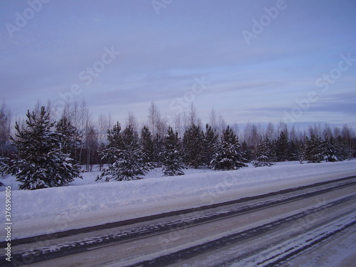 winter landscape in the forest