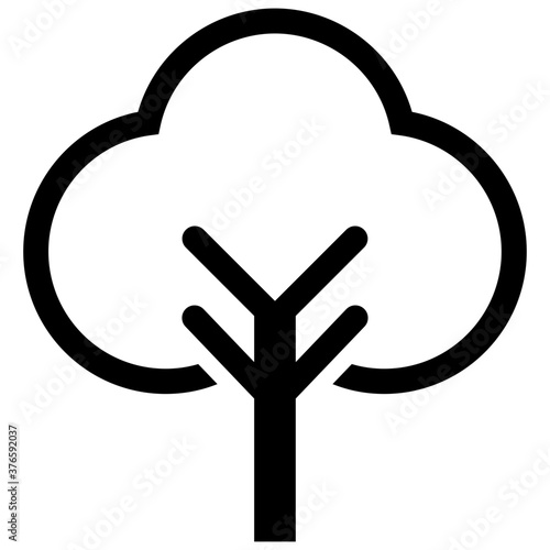 Oak Tree