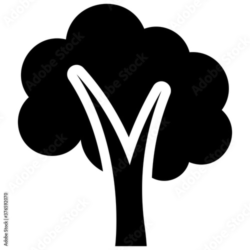 Oak Tree