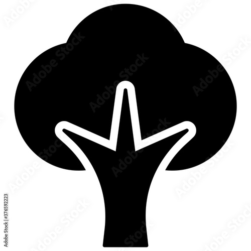 Oak Tree