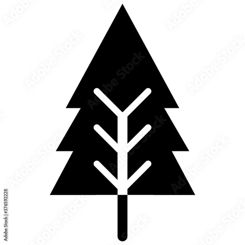 Spruce Tree