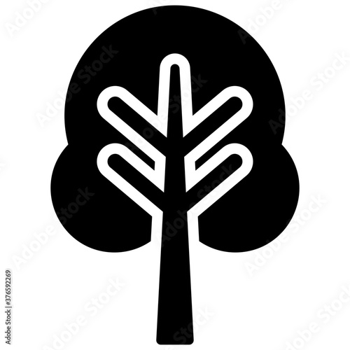 Oak Tree