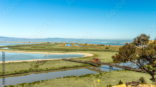 Don Edwards San Francisco Bay National Wildlife Refuge California photo