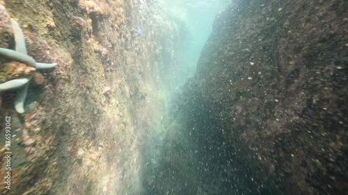 Wallpaper Mural Underwater scene: Camera moving through a passage between big rocks. Torontodigital.ca