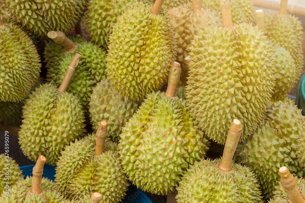 Thai Monthong Durian Thai Monthong Durian